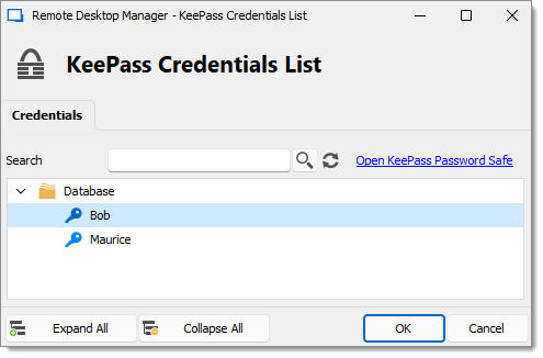 KeePass Credentials List