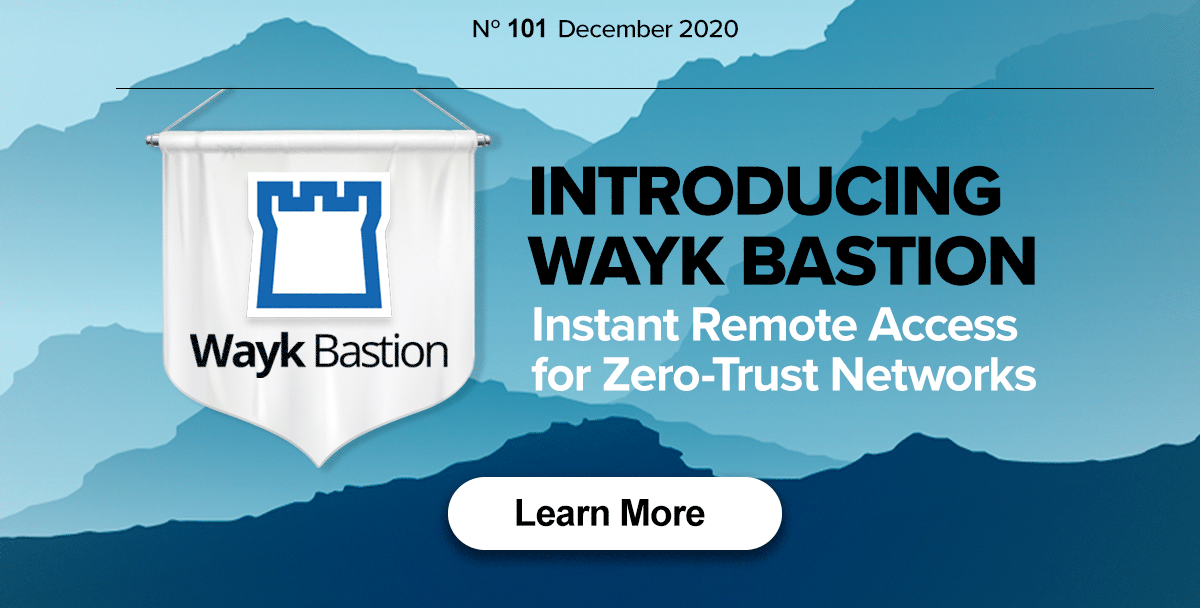 Introducing Wayk Bastion: Instant Remote Access for Zero-Trust Networks