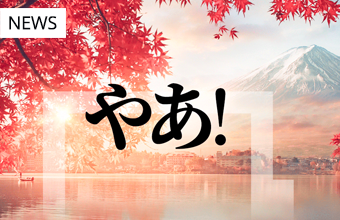Remote Desktop Manager is Now Available in Japanese!